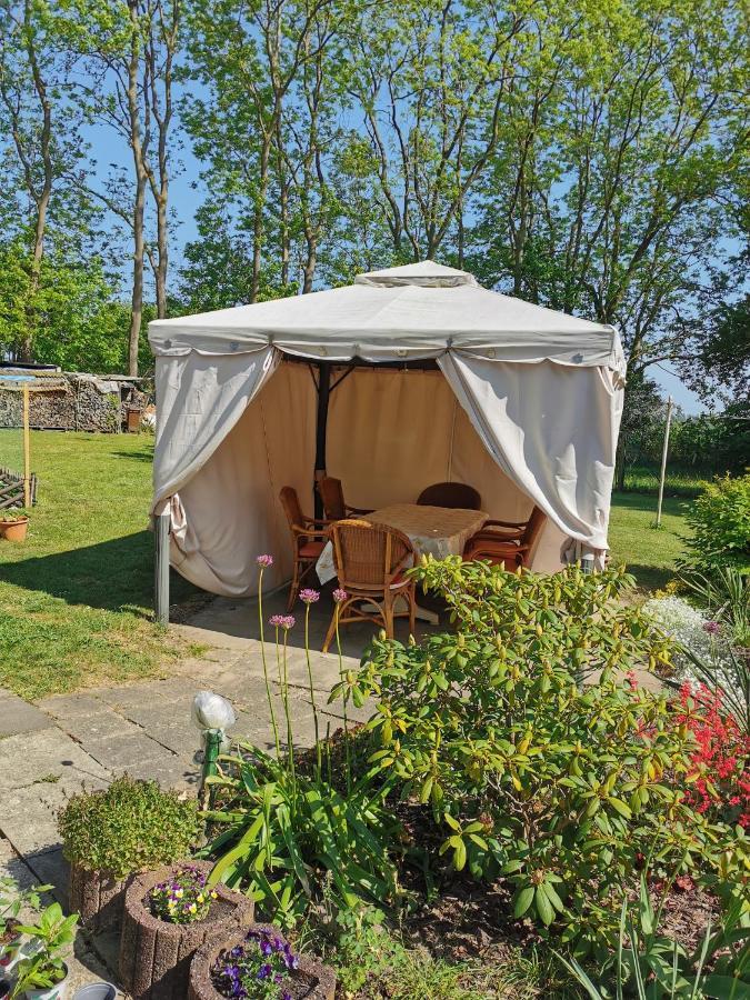 Ferienwohnung Am Stadtrand Garz Ruegen Extérieur photo